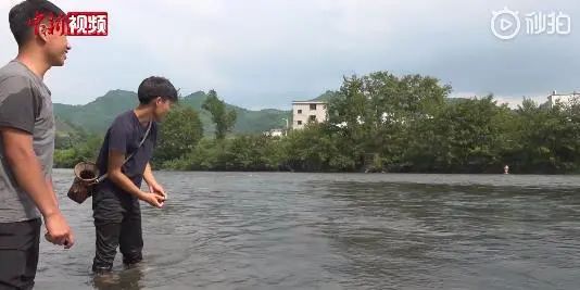 DƬ